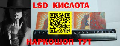 шишки Будённовск