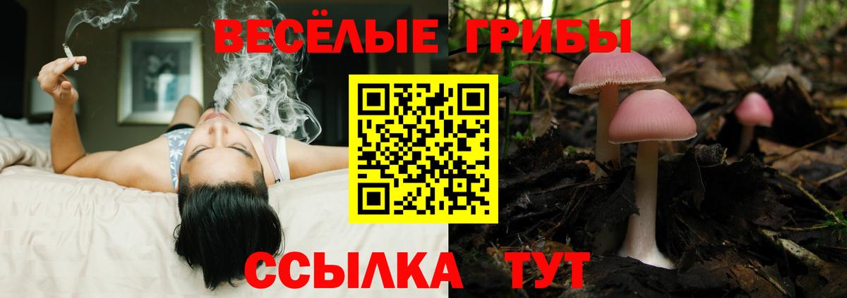 Малгобек  Галлюциногенные грибы Psilocybe  продажа наркотиков  Вход с VPN 